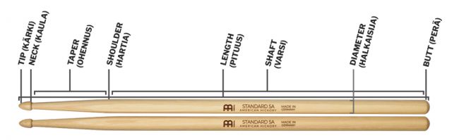 Meinl rumpukapulan anatomia.