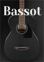 Akustiset Bassot