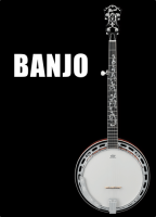 Banjo kielet