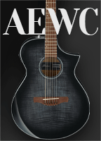 Ibanez AEWC -akustiset kitarat