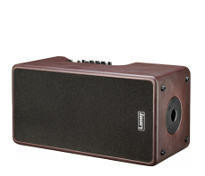 Laney A-Duo