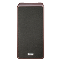Laney A-Duo
