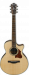 Ibanez AE205JR-OPN 3/4