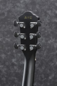 AEG50-BK-ibanez-lapa.
