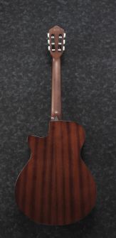 AEG50N-NT-ibanez-classical-back.