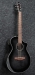 Ibanez AEWC400-TKS