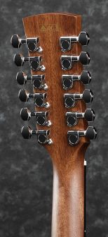 Ibanez AW5412CE-OPN Artwood