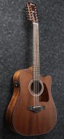 Ibanez AW5412CE-OPN Artwood