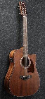 Ibanez AW5412CE-OPN Artwood