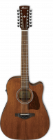 Ibanez AW5412CE-OPN Artwood