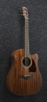 Ibanez AW54CE-OPN