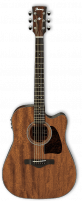 Ibanez AW54CE-OPN