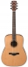 Ibanez AW65LG