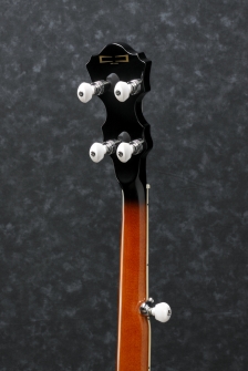 Ibanez B200 Banjo