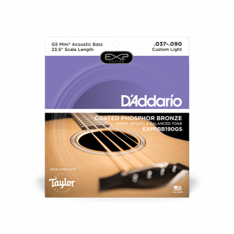 D'Addario Light / Taylor GS Mini Set EXPPBB190GS.