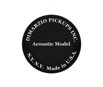 Acoustic Model