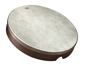 Remo 16