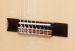 Ibanez GA3007CE-NT