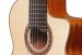 Ibanez GA3007CE-NT