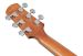 Ibanez AAD51CE-DVS kitaran lapa takaa.