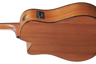Ibanez AAD51CE-DVS kitaran runko takaa.