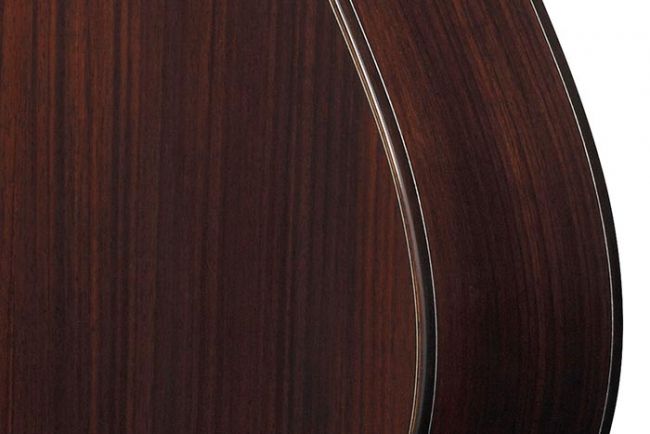 AAM-kitaran ruusupuinen runko.