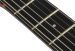 Ibanez ASH300-TBC kotelolla