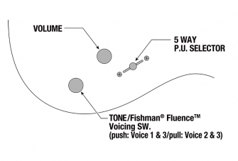 Ibanez BER10 kitaran kontrollit.