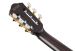 Ibanez FRH20QMN-CTL kitaran kaula takaa.