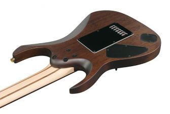 Ibanez K7YANG Korn Head -kitaran runko takaa.