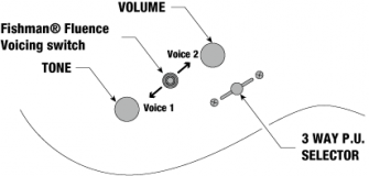 Kontrollit: volume, tone, 3-asentoinen mikrofonikytkin ja fishman fluence moodikytkin.