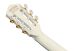 Ibanez TOD100FMN-TMM Tim Henson kitaran lapa takaa.