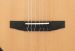 Ibanez TOD100N-NT Tim Henson kitaran Fishman-mikrofonit ja eebenpuutalla.