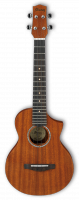Ibanez UEWT5-OPN