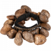 Meinl Foot Rattle Pangi Seed -jalkahelistin FR1P.