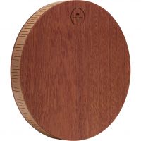 Meinl Sonic Energy Rain Disk 10