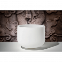 Meinl Sonic Energy 12