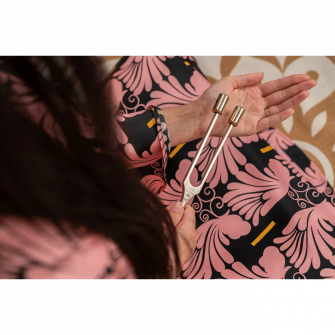 Meinl Sonic Energy Grounding Therapy Earth äänirauta käytössä.