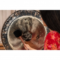 Meinl Sonic Energy MGB-L malletti gongille, large.