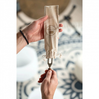 Meinl Sonic Energy Planetary Therapy Apsidis' Rotation äänirauta pussissaan.