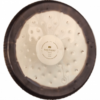 Meinl Sonic Energy 22