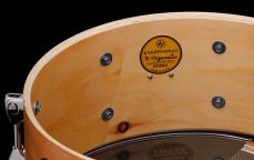 Tama Starphonic Spruce 14