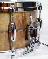 Tama STAR 6,5" x 14" Curly Maple Solid Shell - OBC